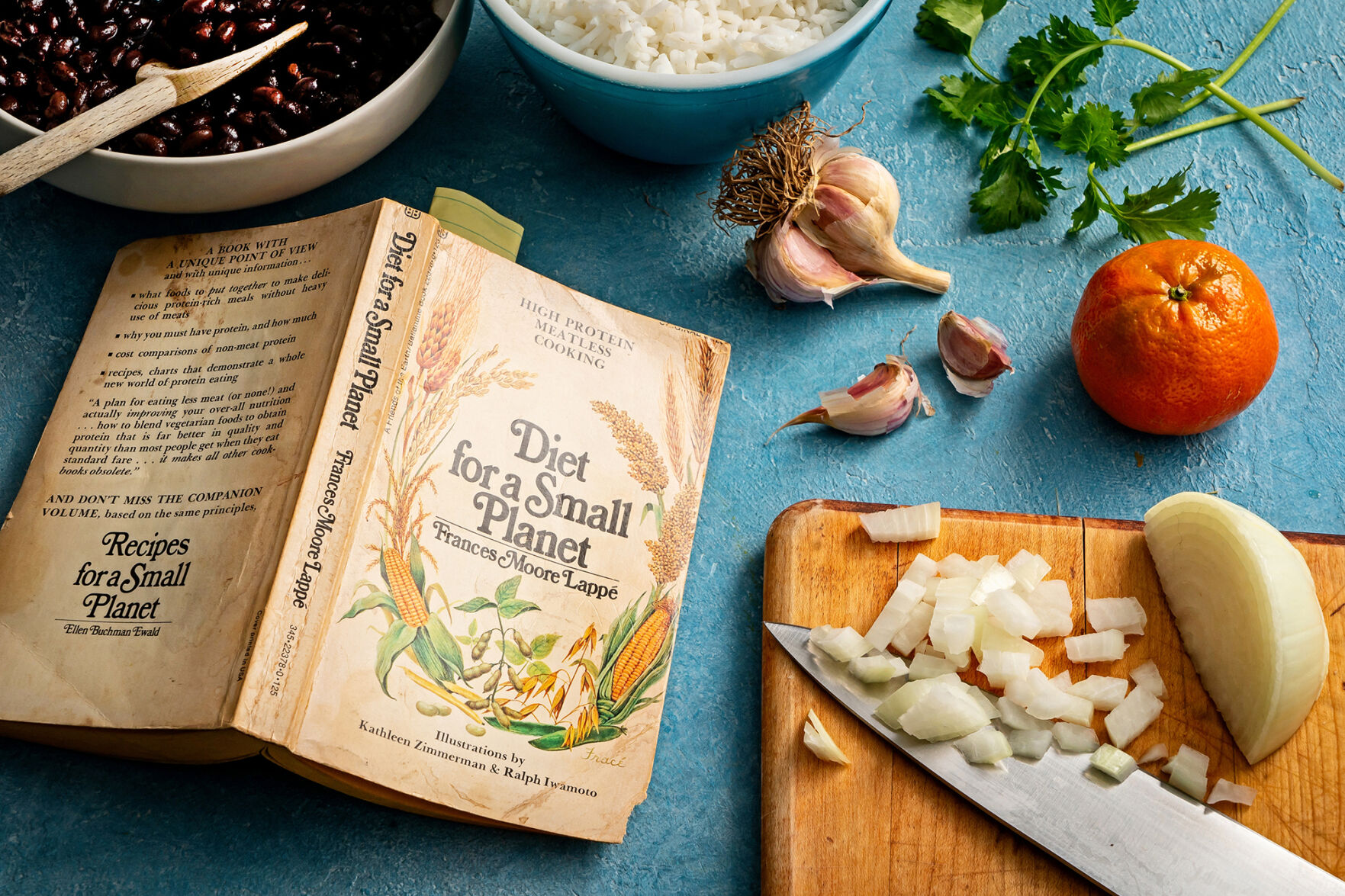 'Black Power Kitchen' and the legacy of cookbooks on a mission 3